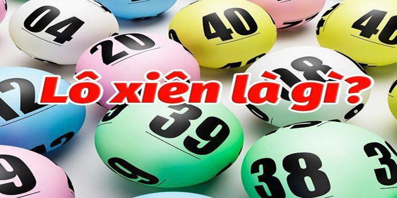 Bật mí cách nuôi lô rồng bạch kim siêu chuẩn